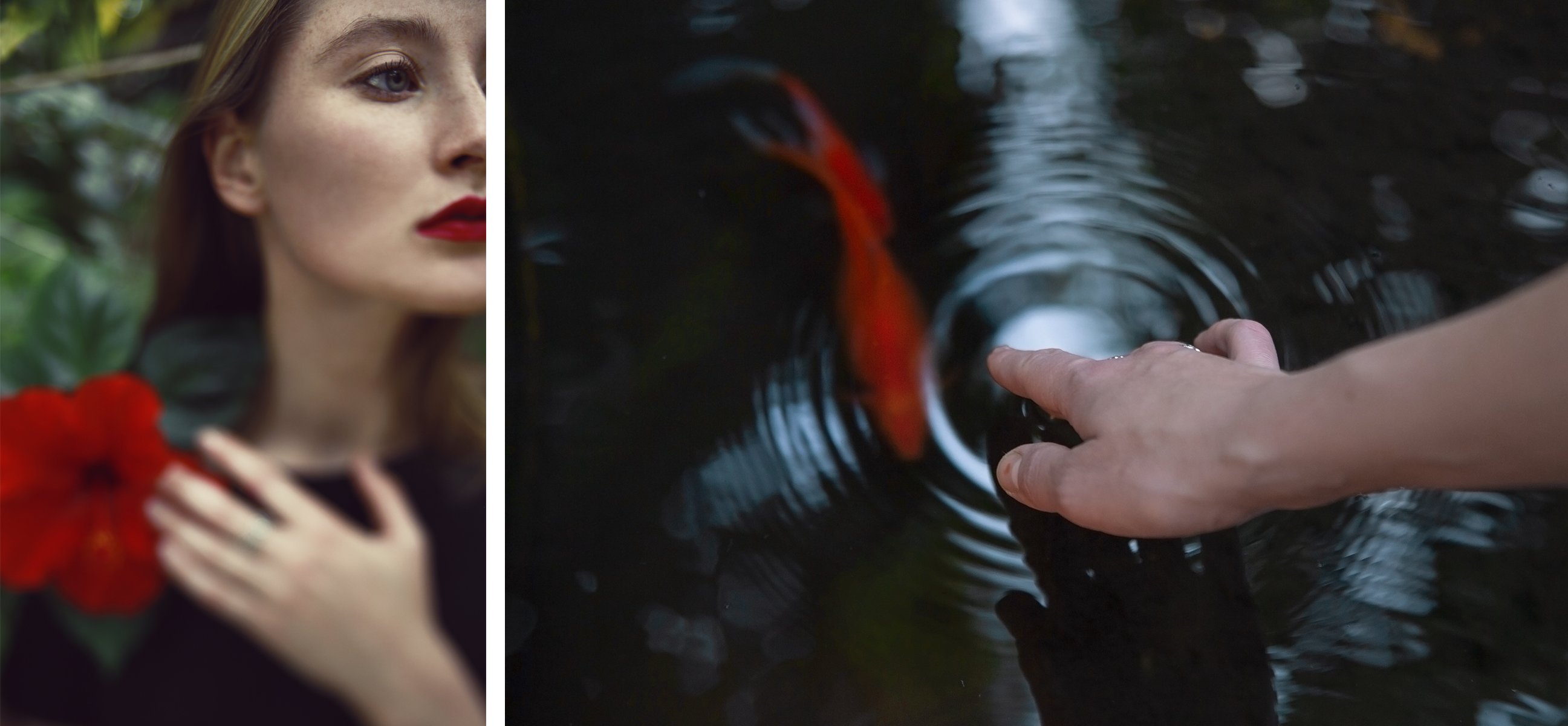 PhotoVogue